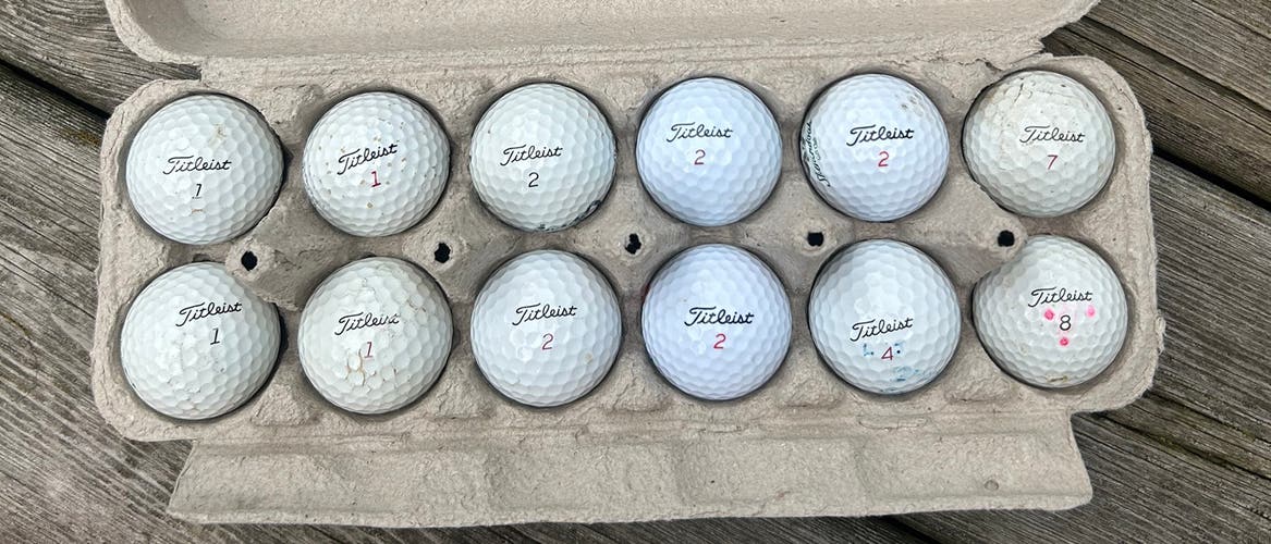 12 Titleist Golf Balls - 8 Pro-V1’s