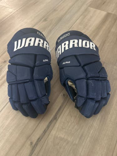 Used  Warrior 14" Alpha Pro Gloves