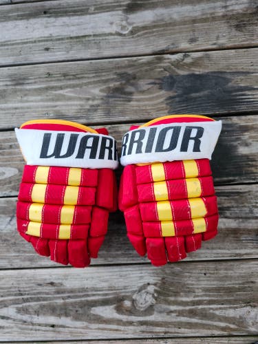 Flames Warrior Franchise Gloves 13"