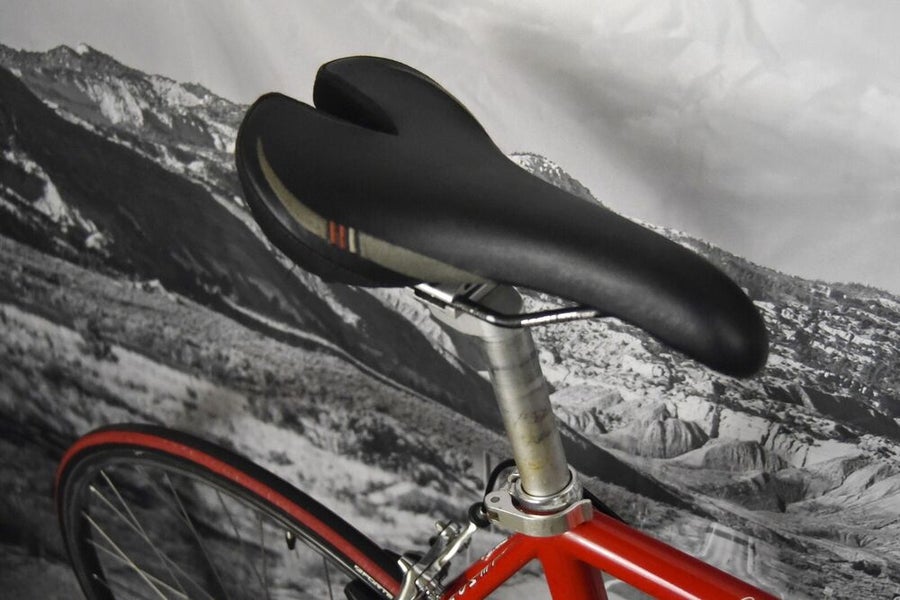 LEMOND TOURMALET ROAD BIKE SIZE L, 55 CM, 21 SPEED, ALUM & CARBON fork