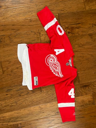 Detroit Red Wing Zetterberg Youth Jersey