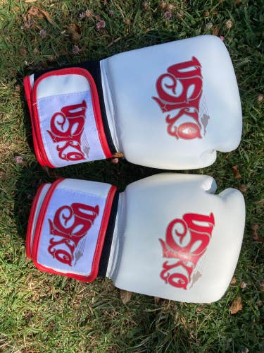 New 12oz Boxing Gloves