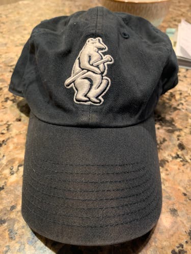 Chicago cubs hat