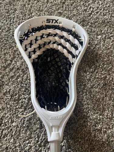 Stx Stallion 6000