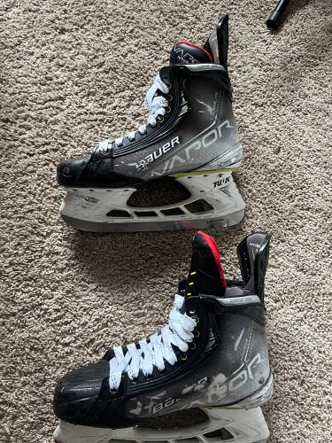 Used Senior Bauer Regular Width  8 Hockey Skates