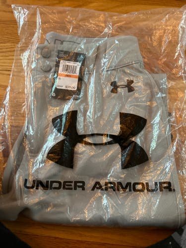 Under Armour Baseball pants men’s small