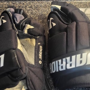 Used Warrior BULLY Gloves 14"