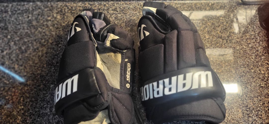 Used Warrior BULLY Gloves 14"
