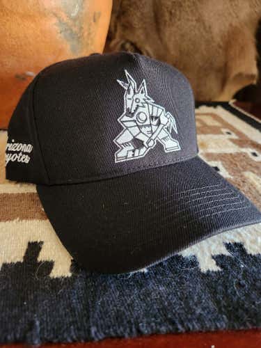 Arizona Coyotes Ghost Kachina Adjustable Hat NWOT 15% Wool/85% Acrylic