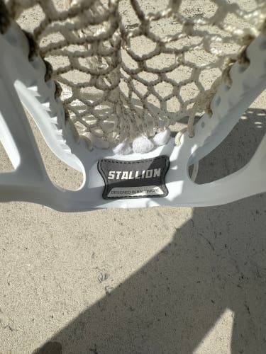 Used Attack & Midfield Strung Stallion 900 Head