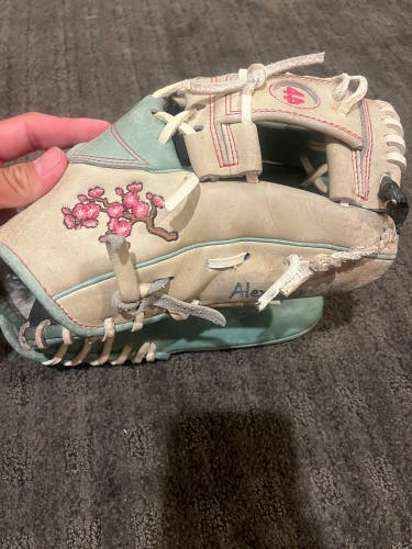 Used Right Hand Throw 11.5" Signature Series Baseball Glove