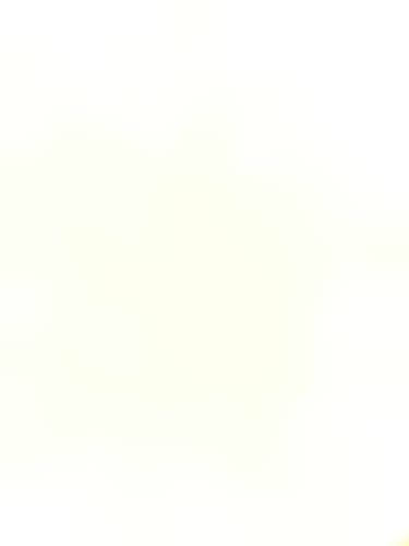 Maverick Showtime gloves