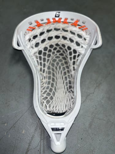 Gait d2 head