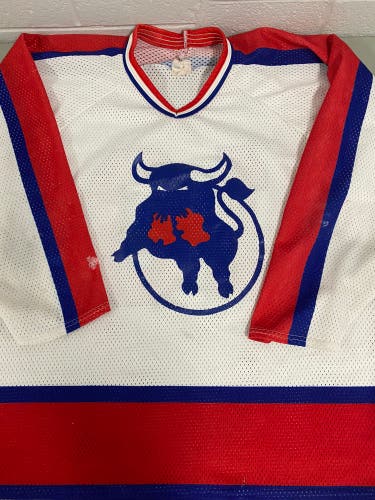 Toros minor hockey game jersey #10