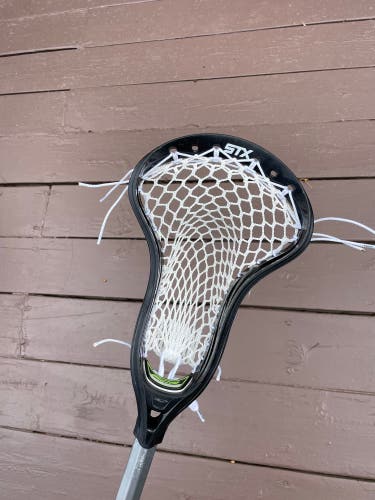 OG STX Stallion
