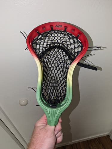 New True Strung Hzrdus Head