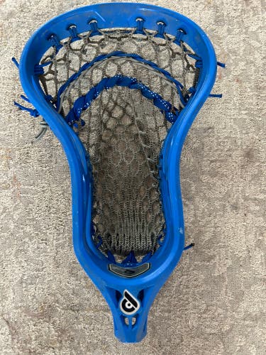 Powell lacrosse Pioneer Transition head