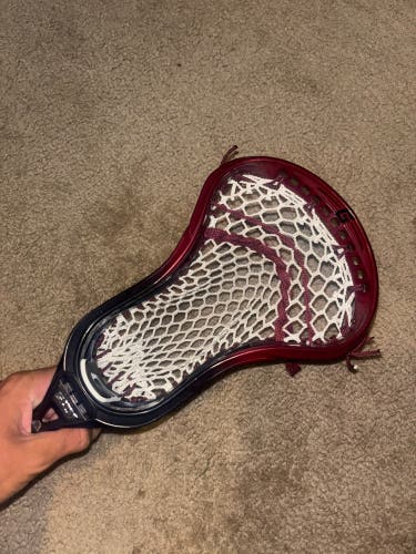 Custom Dyed Gait Mustang