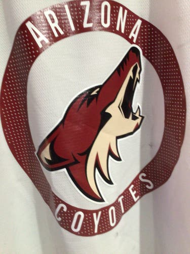 Goalie Cut Coyotes Authentic Hockey Jersey