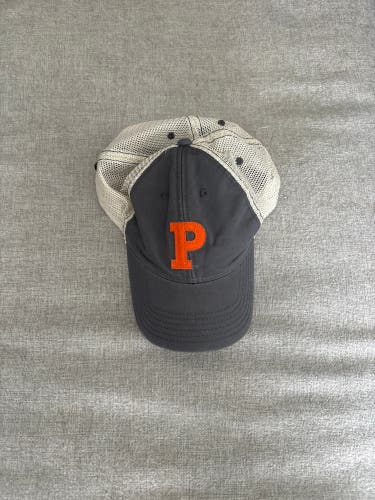 Princeton University Gray Hat