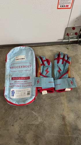 Used Large Bruce Bolt Batting Gloves