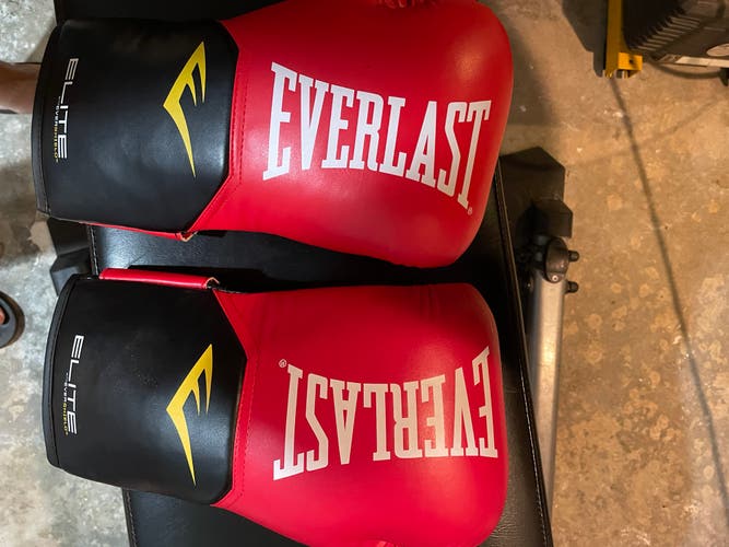 Used Everlast Elite V2 Boxing gloves XL