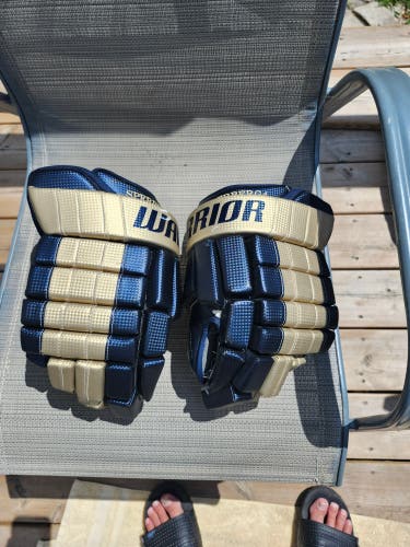 Warrior Franchise MIC Gloves 14" Pro Stock