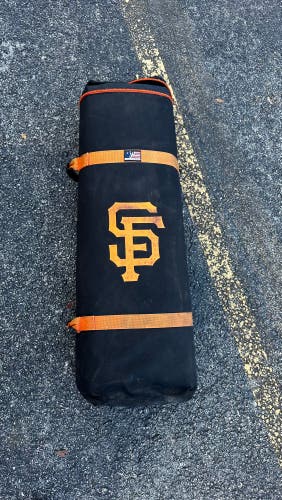 Used  Bat Bag