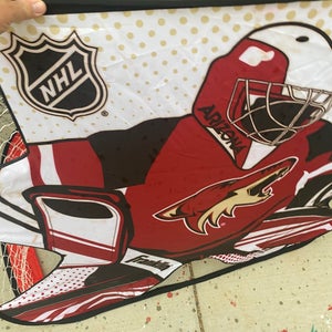 Used Franklin AZ Coyotes practice Net