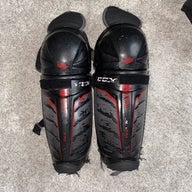 QLT 270