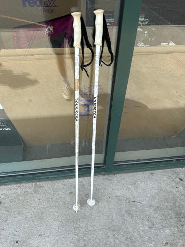 Used 44in (110cm) Rossignol All Mountain Ski Poles