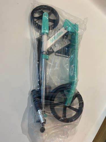 Mint Adult kick Scooter