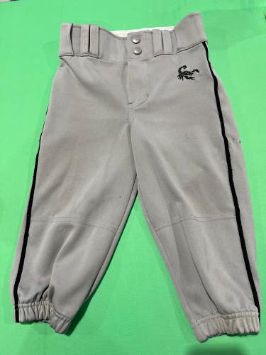 Gray Used Small Youth Champro Game Pants