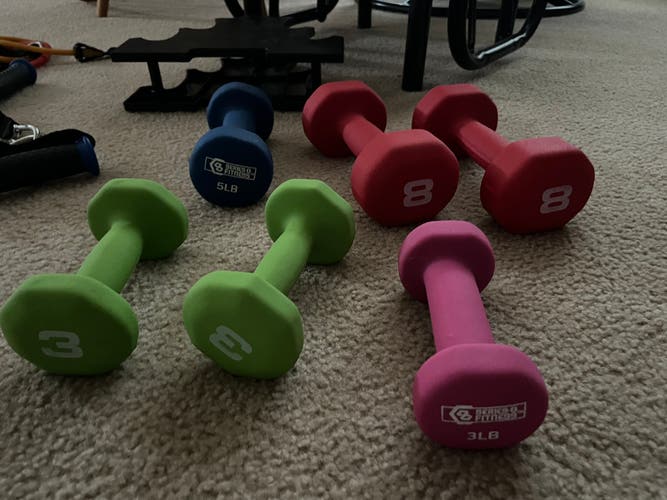 New  3-8lb Dumbbells With Stand