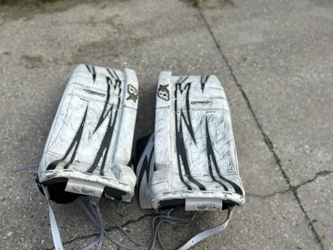 Custom Brians goalie leg pads gnetik