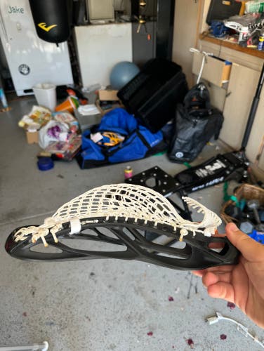 Stx Stallion 900