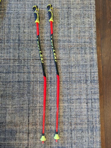 Used 40in (100cm) Leki Racing World Cup Lite - GS Ski Poles