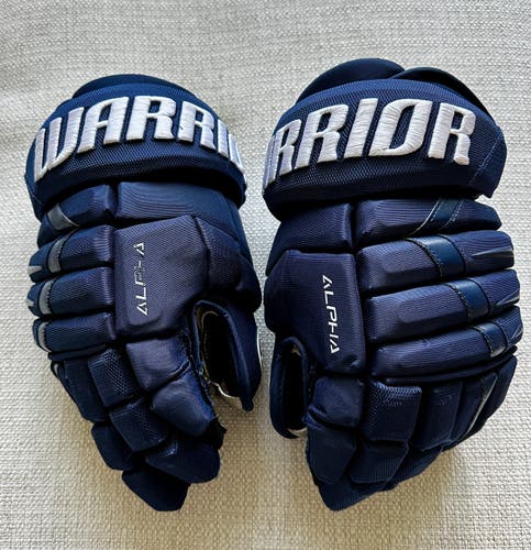 Warrior Alpha DX Pro Gloves 14" Pro Stock