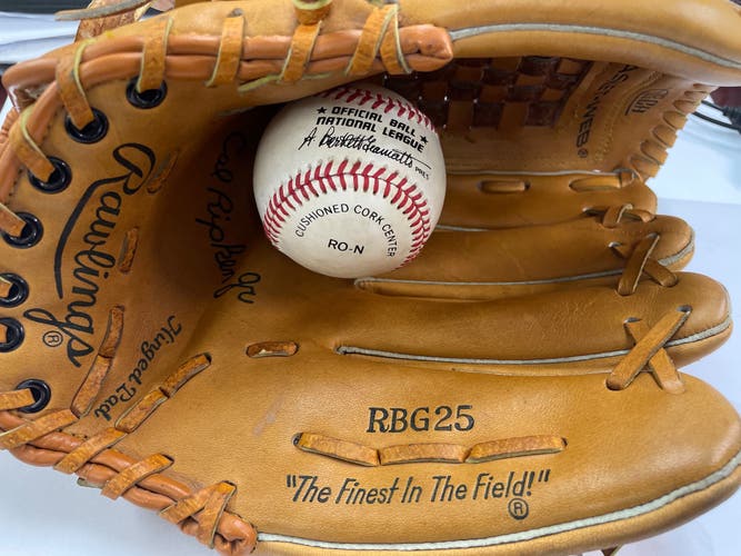 Rawlings RBG25 baseball glove