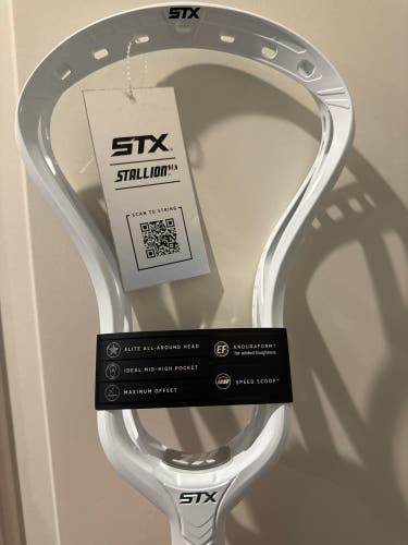 New Attack & Midfield Unstrung Stallion 1K Head
