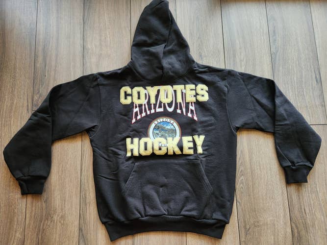 Arizona Coyotes Men's Black Icey Rhuigi Pullover Hoodie Size Large