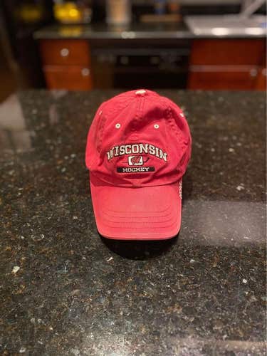 Wisconsin Hockey Hat