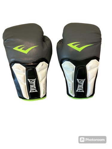 Everlast Boxing Gloves