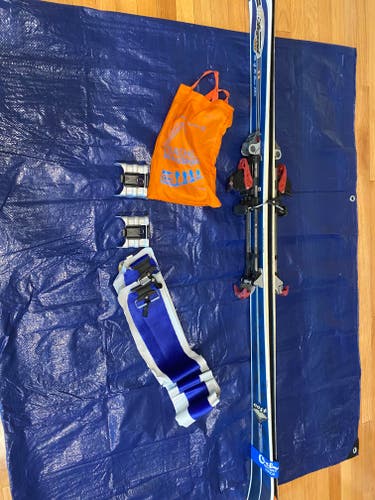 Used 2010 Men's Dynastar 172 cm Alpine Touring Legend 4800 Skis With Bindings Max Din 13