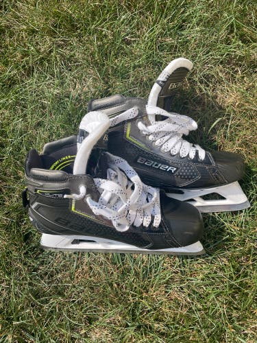 Bauer Elite goalie skates