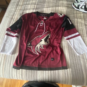 Paul Bissonnette Jersey