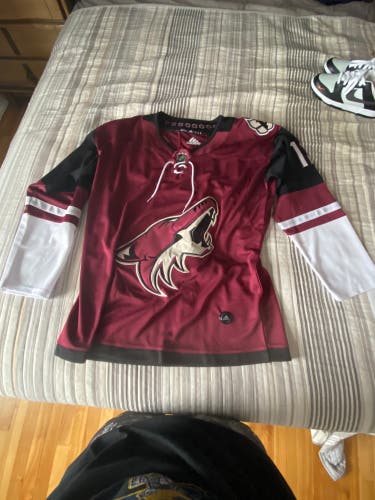 Paul Bissonnette Jersey