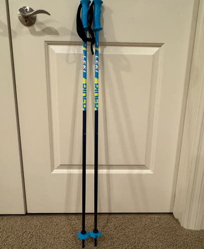 Used 40in (100cm) Leki RIDER Ski Poles