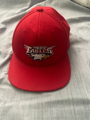 USA EAGLES #29 SnapBack Hat