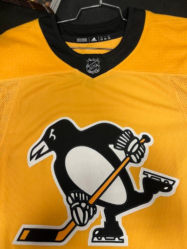 Pittsburgh penguin Jersey